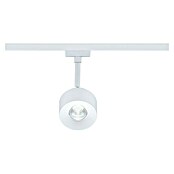 Paulmann URail LED-Spot Pane (Signalweiß, Neutralweiß) | BAUHAUS