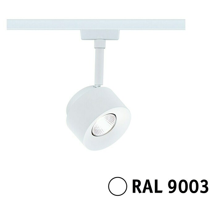 Paulmann URail LED-Spot Pane (Signalweiß, Neutralweiß) | BAUHAUS