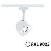 Paulmann URail LED-Spot Pane (Signalweiß, Neutralweiß) | BAUHAUS