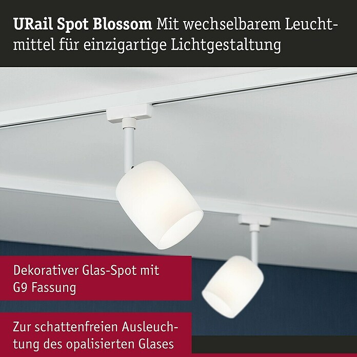 Paulmann URail LED-Spot Blossom (10 W, Signalweiß, G9, 1 Stk.) | BAUHAUS