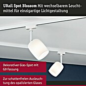 Paulmann URail LED-Spot Blossom (10 W, Signalweiß, G9, 1 Stk.) | BAUHAUS