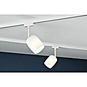 Paulmann URail LED-Spot Blossom (10 W, Signalweiß, G9, 1 Stk.) | BAUHAUS