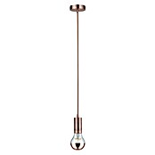 Paulmann LED-Lampe Modern Classic Edition (Nicht Dimmbar, Warmweiß, 600 lm, Kupfer Kopf) | BAUHAUS