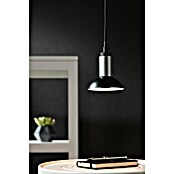 Paulmann LED-Lampe Reflektor Standard (Dimmbar, Warmweiß, 360 lm, 4,9 W, Schwarz) | BAUHAUS