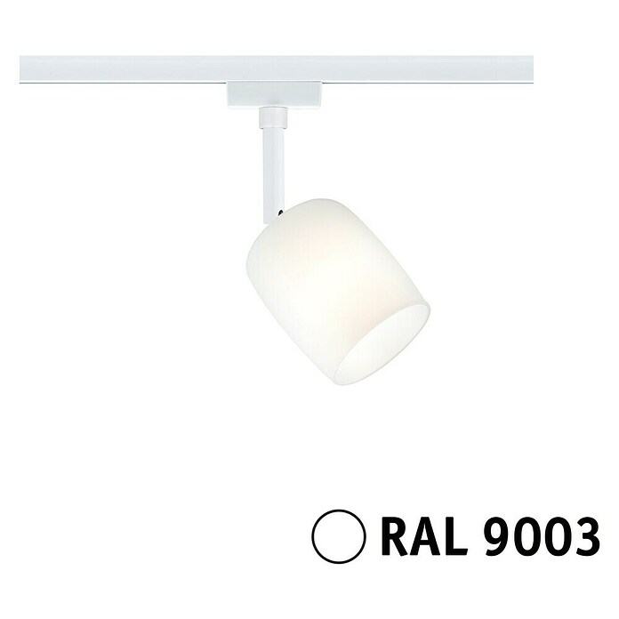Paulmann URail LED-Spot Blossom (10 W, Signalweiß, G9, 1 Stk.) | BAUHAUS