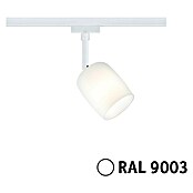 Paulmann URail LED-Spot Blossom (10 W, Signalweiß, G9, 1 Stk.) | BAUHAUS