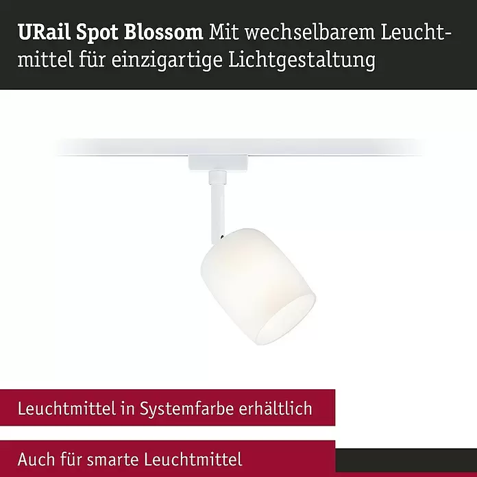 Paulmann URail LED-Spot Blossom10 W, Signalweiß, G9, 1 Stk.
