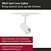 Paulmann URail LED-Spot Luxe (10 W, Signalweiß, 6,5 x 9 x 16,3 cm, RGBW) | BAUHAUS