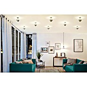 Paulmann LED-Lampe Modern Classic Edition (Dimmbar, Warmweiß, 600 lm) | BAUHAUS