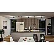 Paulmann URail Alimentación de corriente ZB (100 cm, 100 W, Negro, Incluidas tapas de los extremos) | BAUHAUS