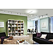 Paulmann URail LED-Spot Circle (Chrom matt, 5 x 9,8 x 15,7 cm) | BAUHAUS