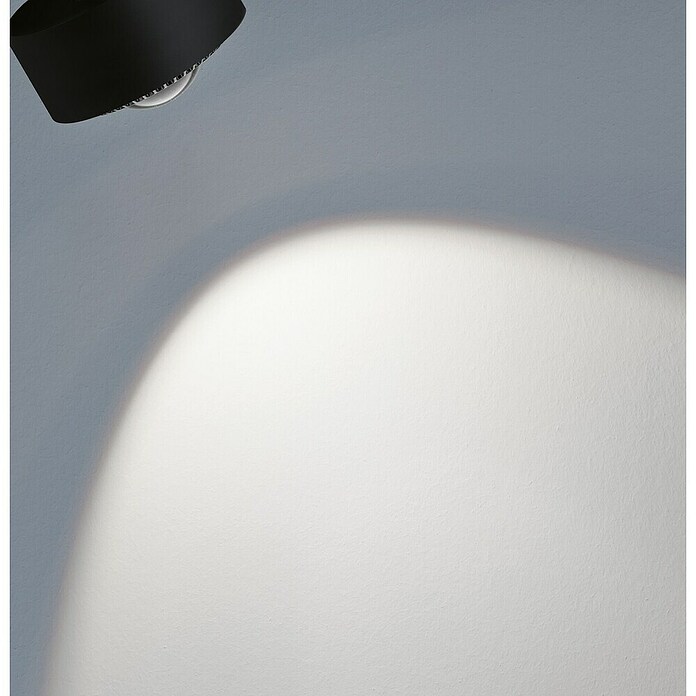 Paulmann URail Foco LED para riel Aldan (Negro, Blanco neutro, Ø x Al: 9,8 x 17 cm) | BAUHAUS