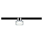 Paulmann URail LED-Spot Topa Dot (Chrom matt, Ø x H: 8 x 13 cm) | BAUHAUS