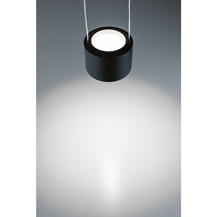 Paulmann URail LED-Pendelleuchte Aldan (Neutralweiß, Schwarz matt, Ø x H: 10 x 150 cm, 4.000 K) | BAUHAUS