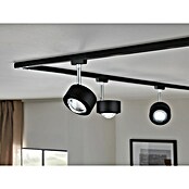 Paulmann URail LED-Spot Aldan (Schwarz matt, Neutralweiß, Ø x H: 9,8 x 17 cm) | BAUHAUS