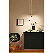 Paulmann URail LED-Pendelleuchte Capsule II (Warmweiß, Schwarz matt, Ø x H: 8,7 x 130 cm) | BAUHAUS
