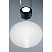 Paulmann URail LED-Pendelleuchte Aldan (Neutralweiß, Schwarz matt, Ø x H: 10 x 150 cm, 4.000 K) | BAUHAUS