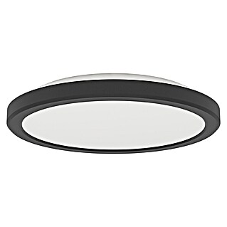Eglo LED stropna svetilka Testara-E (11,2 W, Ø x V: 21,2 x 3 cm, Črna, Toplo bela)