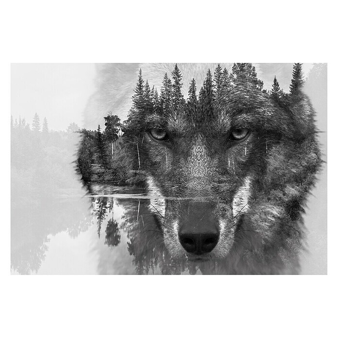 Glasbild (Wolf, B x H: 120 x 80 cm) | BAUHAUS