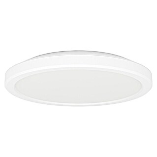 Eglo Plafón LED Testara-E (11,2 W, Ø x Al: 21,2 x 3 cm, Blanco, Blanco cálido)