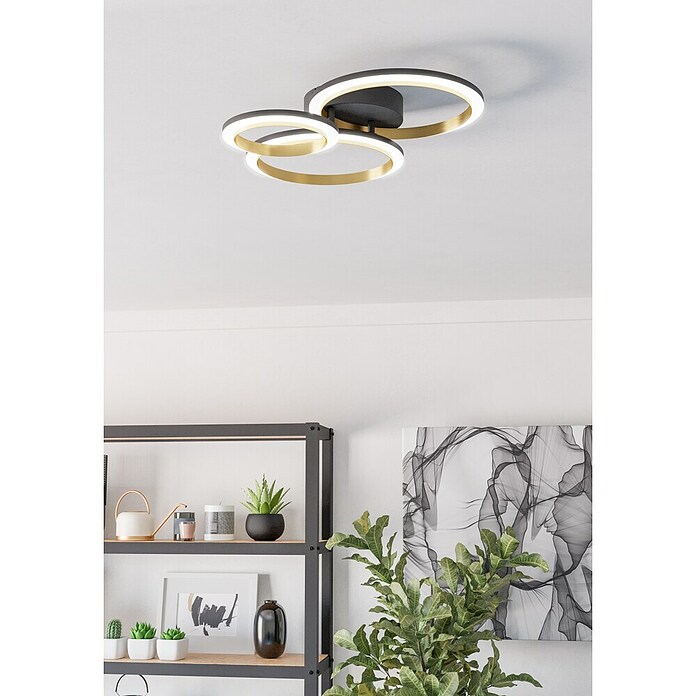 Eglo Calliera Plafón LED (20 W, L x An x Al: 49 x 44,5 x 11 cm, Negro, Blanco neutro) | BAUHAUS