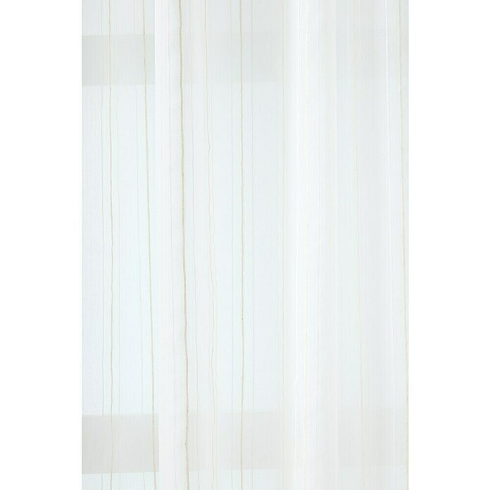 Visillo para ventana Delia Rayas (An x Al: 140 x 260 cm, 100% poliéster, Beige/Blanco) | BAUHAUS