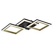 Eglo Calliera Plafón LED (20 W, L x An x Al: 59,5 x 31 x 9 cm, Negro, Blanco neutro) | BAUHAUS