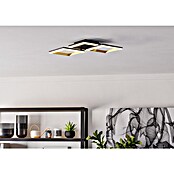 Eglo Calliera Plafón LED (20 W, L x An x Al: 59,5 x 31 x 9 cm, Negro, Blanco neutro) | BAUHAUS
