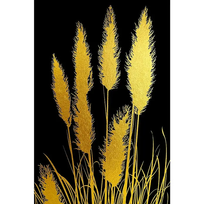 Glasbild - Pampasgräser, B x H: 60 x 90 cm - Goldene Gräser vor schwarzem Hintergrund. Die Gräser haben eine wunderschöne Textur und wirken sehr edel.