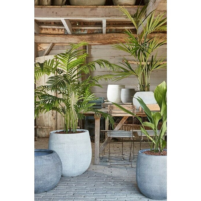Umjetna biljka Areka palma  (Visina: 160 cm, Zelena, Plastika) | BAUHAUS