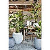 Umjetna biljka Areka palma  (Visina: 160 cm, Zelena, Plastika) | BAUHAUS