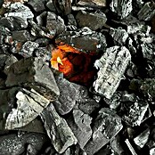 Toro Drveni ugljen za roštilj Torello Premium Namibia Native Blend  (10 kg) | BAUHAUS