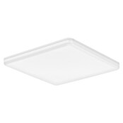 Eglo Castagneto LED-Deckenleuchte (20 W, L x B x H: 31 x 31 x 4 cm, Weiß, Warmweiß) | BAUHAUS