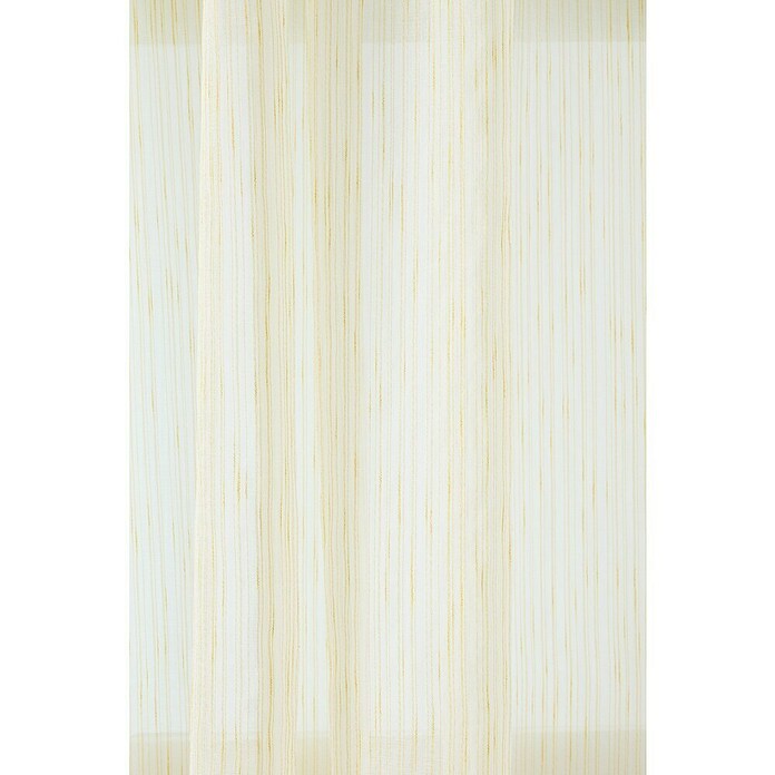 Visillo para ventana Gatas oro (An x Al: 140 x 260 cm, 100% poliéster, Mostaza) | BAUHAUS