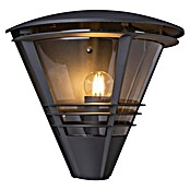 Globo Vanjska zidna svjetiljka Salla  (60 W, D x Š x V: 16,5 x 27 x 25 cm, Crna, IP44) | BAUHAUS