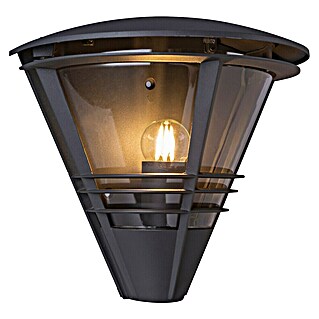 Globo Vanjska zidna svjetiljka Salla (60 W, D x Š x V: 16,5 x 27 x 25 cm, Crna, IP44)