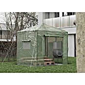 Gardol Plastenik od folije Pop-Up  (240 x 180 x 245 cm, Metal, Plastika) | BAUHAUS