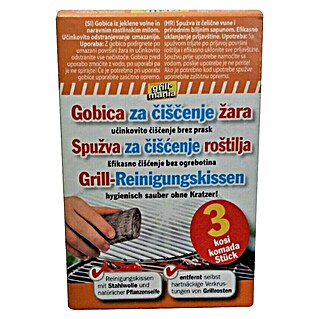 Čistilna goba za čiščenje žara (3 kos)