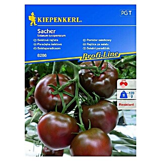Kiepenkerl Zelenjavna semena paradižnik Sacher (Čas žetve: Julij)