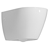 Camargue Hangend Toilet Spoelrandloos  Rome (Zonder toiletzitting, Diepspoeler, Wit)