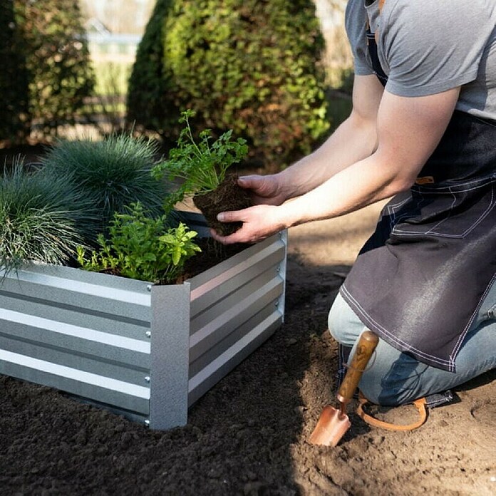 Esschert Design Sadilna lopatka  (Dolžina: 33 cm) | 7241 - Geräte ohne Stiel | IADA - Gartenhandgeräte | IAD - Gartenhandgeräte | IA - Gartenhartware | I - Stadtgarten | BAUHAUS