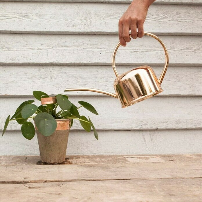 Esschert Design Traka protiv puževa  (Bakar, 3 cm x 5 m) | BAUHAUS