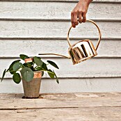 Esschert Design Traka protiv puževa  (Bakar, 3 cm x 5 m) | BAUHAUS