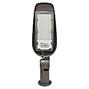 Panalight Farola LED Eko (50 W, 8 x 15,12 x 48,65 cm, Gris, 5.000 lm, 4.000 K, IP65) | BAUHAUS