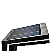 Panalight Baliza LED solar Nalón (2 W, Negro, Altura: 80 cm, 4.000 K) | BAUHAUS