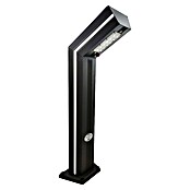 Panalight Baliza LED solar Nalón (2 W, Negro, Altura: 80 cm, 4.000 K) | BAUHAUS
