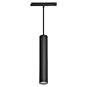Panaled Foco para riel magnético (10 W, Negro, 5 ud.) | BAUHAUS