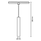 Panaled Foco para riel magnético (10 W, Negro, 5 ud.) | BAUHAUS