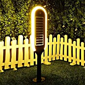 Baliza exterior LED solar Denia (3 W, Blanco neutro) | BAUHAUS