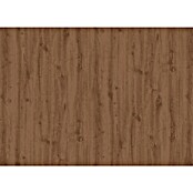 D-c-fix Folija z vzorcem lesa  (Do x Š: 200 x 45 cm, Bež, Samolepilen) | 6465 - Klebefolien | HDEA - Dekofolien / Tischbelag | HDE - Sonstige Ambiente | HD - Ambiente | H - Innendeko/Farben | BAUHAUS